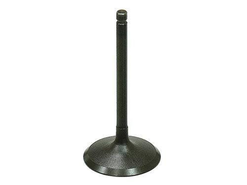 BRONCO INTAKE VALVE