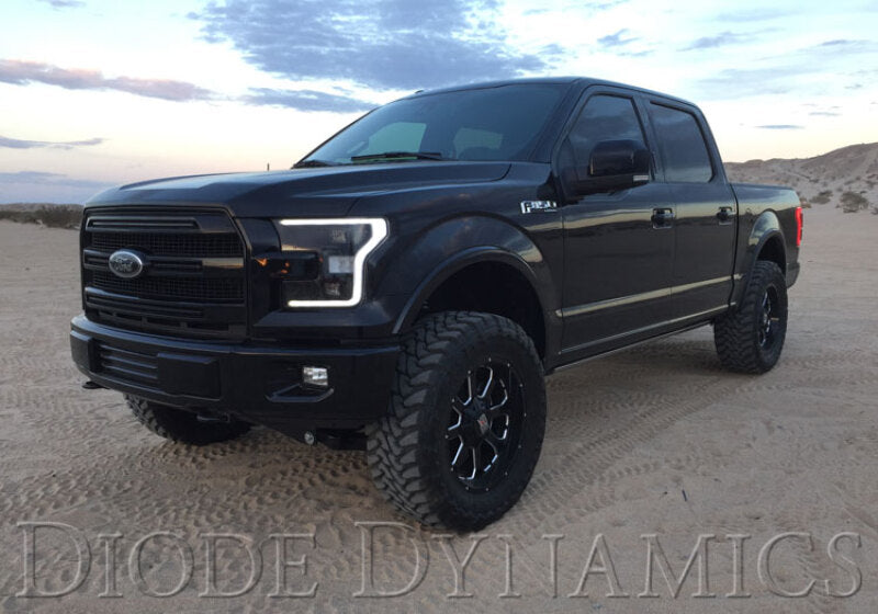 Diode Dynamics 15-17 Ford F-150/17-19 Ford Raptor Switchback LED Boards