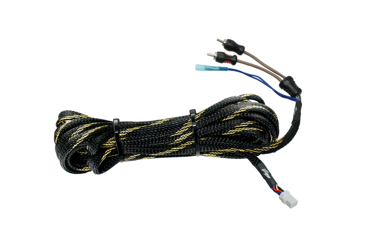20' RCA Harness