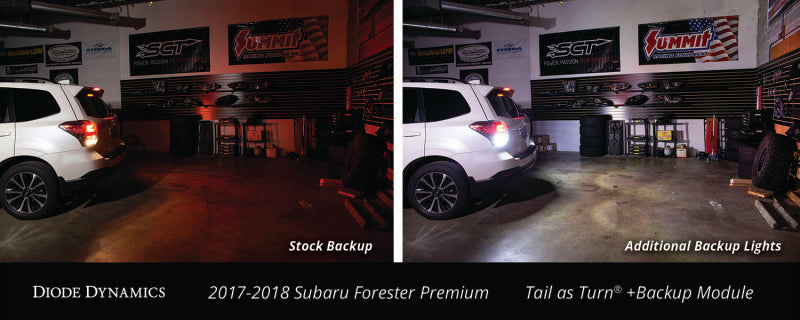 Diode Dynamics 17-18 Subaru Forester Premium (USDM) Tail as Turn +Backup Module Stage 2