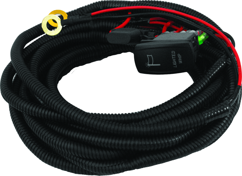 DragonFire Racing Dual Whip Harness Kit with LED Lighted Switches for UTVs - Part 522041