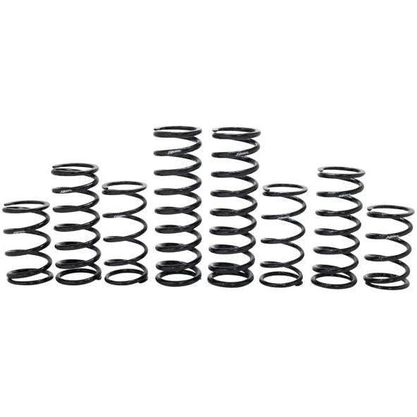 Polaris RZR Turbo R Dynamics Stage 1 Spring Kit