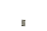 Turbosmart Gen-V WG38/40 3psi Black Inner Spring for External Wastegates