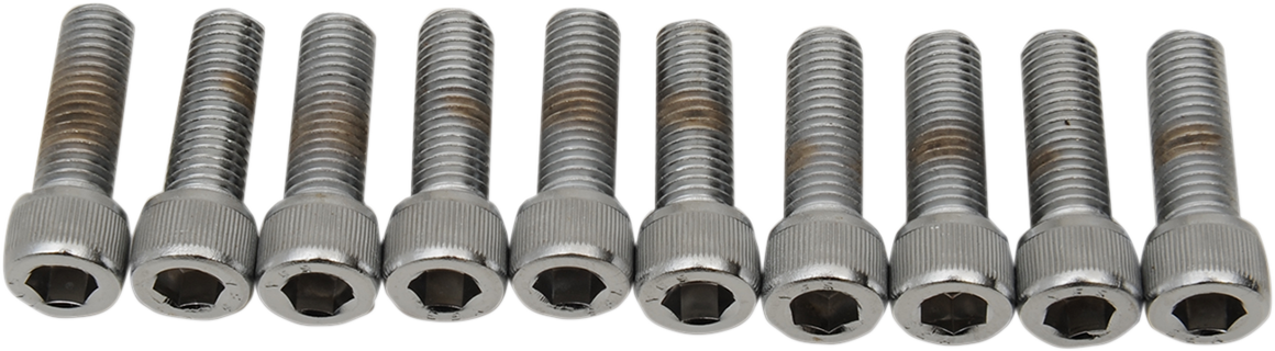 DRAG SPECIALTIES MPB211 Replacement Bolt Pack for Harley-Davidson Motorcycles (1/4"-28 x 7/8")