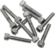 DRAG SPECIALTIES MPB196 Replacement Socket-Head Bolts for Harley-Davidson Motorcycles, #10-24 x 1-1/4 inch, 10 Pack