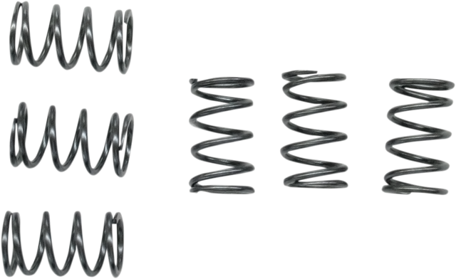 EBC Clutch Springs CSK40