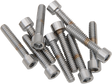 DRAG SPECIALTIES MPB196S Replacement Socket-Head Bolts for Harley-Davidson Motorcycles, 10 Pack
