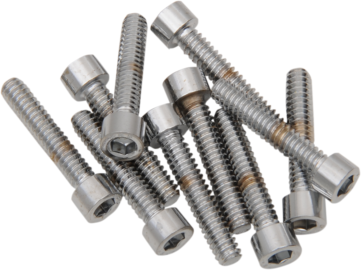 DRAG SPECIALTIES MPB196S Replacement Socket-Head Bolts for Harley-Davidson Motorcycles, 10 Pack