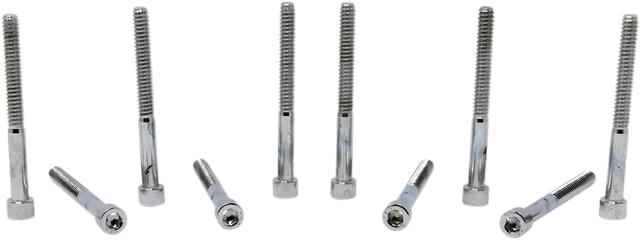 DRAG SPECIALTIES MPB199S Replacement Socket-Head Bolts for Harley-Davidson Motorcycles, #10-24 x 2" (10 Pack)