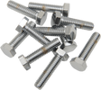 DRAG SPECIALTIES Hex-Head Bolts - Chrome - 5/16"-18 x 1" - Model MPB125 for Harley-Davidson Motorcycles