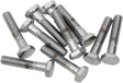 DRAG SPECIALTIES MPB140 Fine Thread Hex Head Bolts for Motorcycle Repairs, 1/4"-28 x 1" - Pack of 10