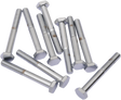 DRAG SPECIALTIES MPB144 Fine Thread Hex Head Bolts for Harley-Davidson Motorcycles, 1/4"-28 x 2" (10 Pack)