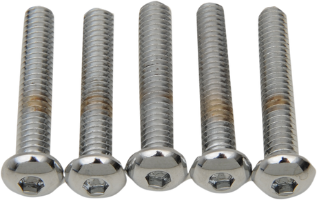 DRAG SPECIALTIES Button Head Replacement Bolts 1/4"-20 x 1-1/4" - Pack of 5 for Harley Davidson Motorcycle Models