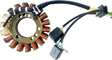 RICK'S MOTORSPORT ELECTRIC OE Style Stator - Suzuki 21-827