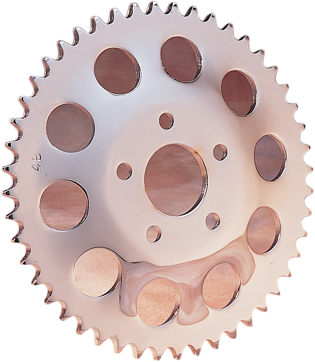 DRAG SPECIALTIES 48 Tooth Rear Wheel Sprocket for Harley-Davidson with 1.9 inch Center Hole
