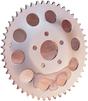 DRAG SPECIALTIES 48 Tooth Rear Wheel Sprocket for Harley-Davidson with 1.9 inch Center Hole