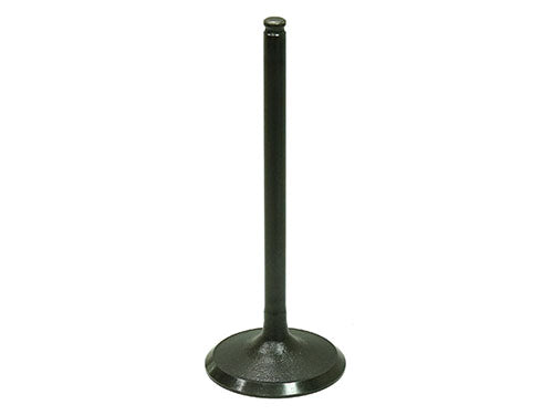 BRONCO INTAKE VALVE