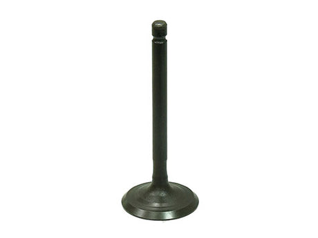 BRONCO INTAKE VALVE