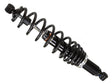BRONCO GAS SHOCK, CAN-AM
