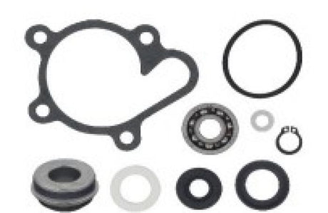 BRONCO WATER PUMP REPAIR KIT