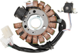 RICK'S MOTORSPORT ELECTRIC Stator - Benelli Scooter 21-427
