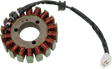 RICK'S MOTORSPORT ELECTRIC Stator - Suzuki 21-308