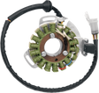 RICK'S MOTORSPORT ELECTRIC High-Output Stator - Yamaha 21-903H