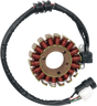 RICK'S MOTORSPORT ELECTRIC High-Output Stator - Yamaha 21-966H
