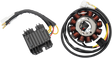 RICK'S MOTORSPORT ELECTRIC Charging Kit - Yamaha 99-400