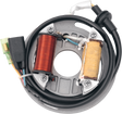RICK'S MOTORSPORT ELECTRIC High-Output Stator - Kawasaki 21-705H