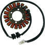 RICK'S MOTORSPORT ELECTRIC Stator - Honda 21-121