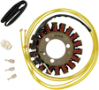 RICK'S MOTORSPORT ELECTRIC Stator - Suzuki 21-317