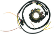 RICK'S MOTORSPORT ELECTRIC Stator 21-553