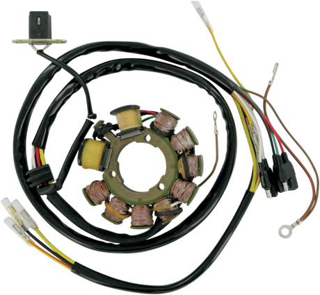 RICK'S MOTORSPORT ELECTRIC Stator 21-555