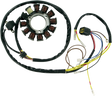 RICK'S MOTORSPORT ELECTRIC Stator 21-556