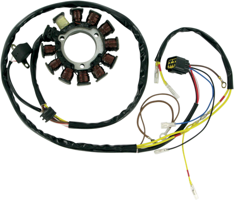 RICK'S MOTORSPORT ELECTRIC Stator 21-556