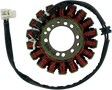 RICK'S MOTORSPORT ELECTRIC Stator - Triumph 21-002