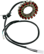 RICK'S MOTORSPORT ELECTRIC Stator - Suzuki 21-323