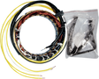 RICK'S MOTORSPORT ELECTRIC Stator - Honda 21-100