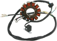 RICK'S MOTORSPORT ELECTRIC Stator 21-562