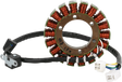 RICK'S MOTORSPORT ELECTRIC Stator - Suzuki 21-810