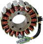 RICK'S MOTORSPORT ELECTRIC Stator 21-564