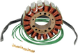 RICK'S MOTORSPORT ELECTRIC PWC Stator - Yamaha 21-W102