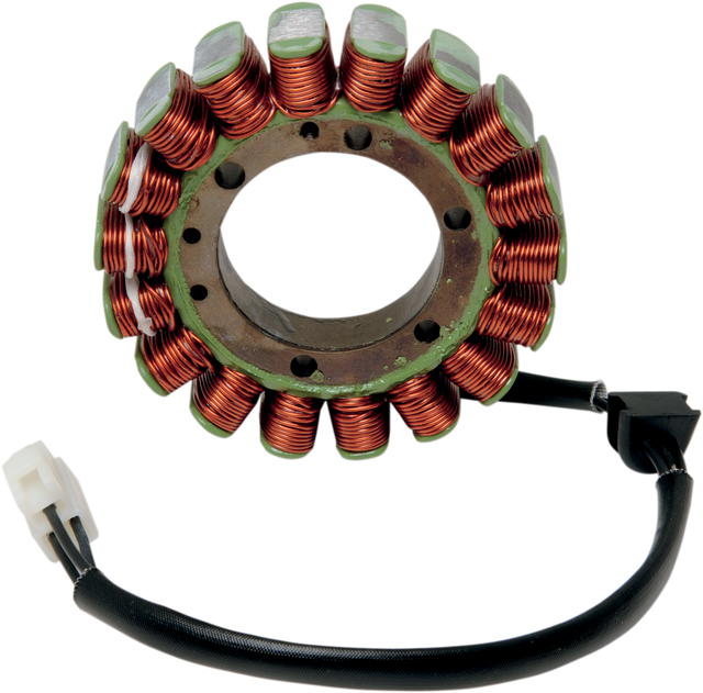 RICK'S MOTORSPORT ELECTRIC Stator - Ducati 21-019