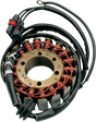 RICK'S MOTORSPORT ELECTRIC Stator 21-565