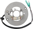 RICK'S MOTORSPORT ELECTRIC Stator - Yamaha 21-926