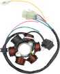 RICK'S MOTORSPORT ELECTRIC High-output Stator - Honda 21-634H