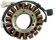 RICK'S MOTORSPORT ELECTRIC Stator - Suzuki 21-335
