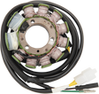 RICK'S MOTORSPORT ELECTRIC Stator - Honda 21-150