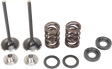 MOOSE OFFROAD Valve and Spring Kit - KTM RFS Engines 400 cc - 560 cc M96-96070